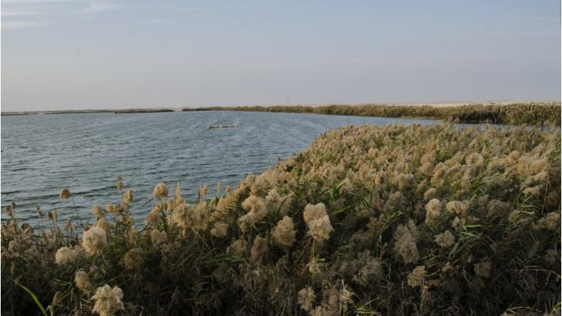 Al Karaana Lagoon