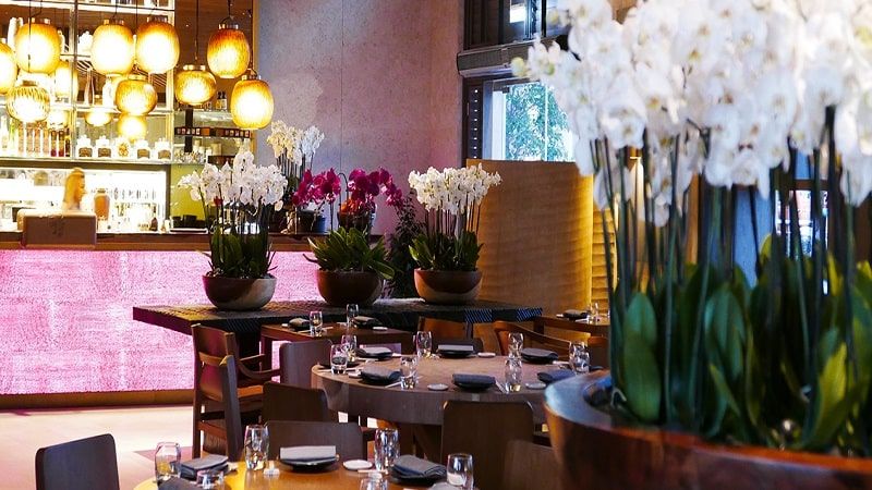 Novikov Qatar