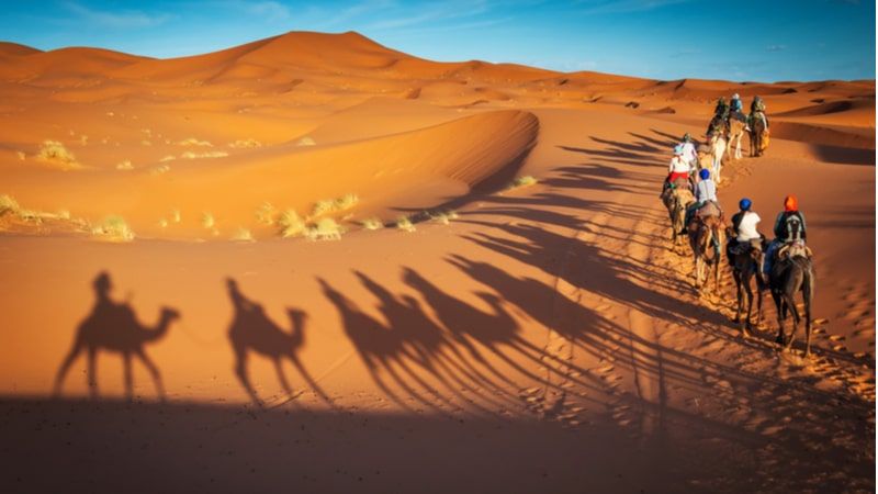 Desert Adventure in Saudi Arabia