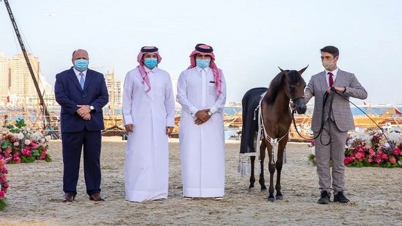 Major Events Included the Arbian Horse Festival in Qatar