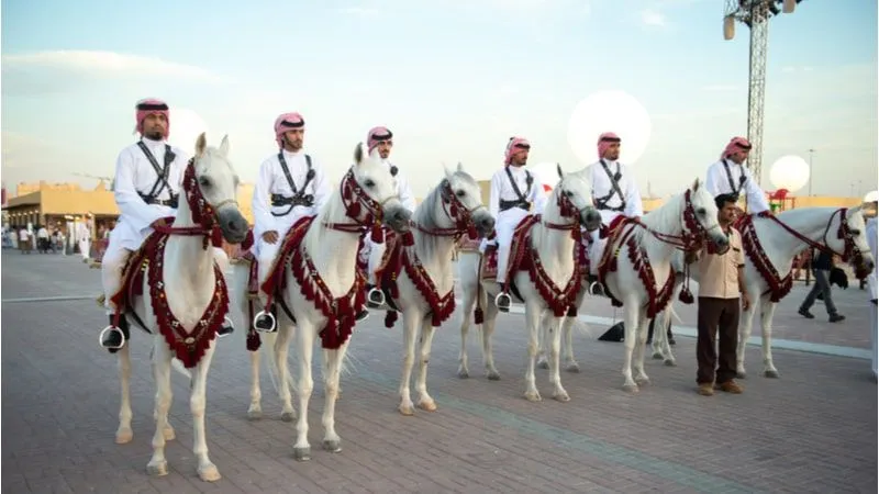Registration Procedure for Arabian Horse Festival 2022 in Qatar