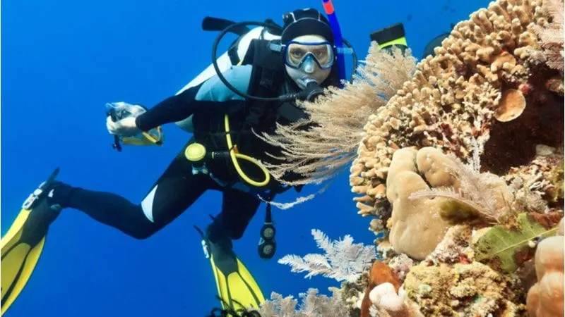 Water Adventures in Saudi Arabia