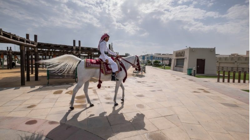 Katara International Arabian Horse Festival 2022