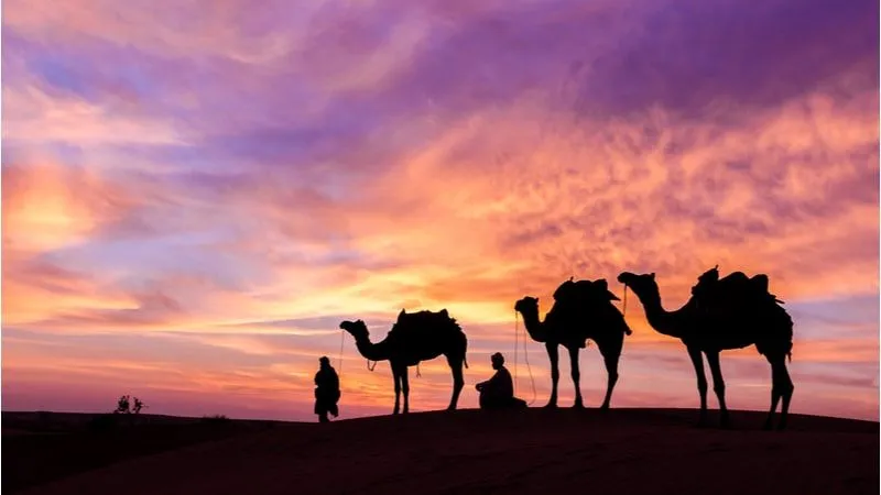 Best Desert Safari to Choose in Saudi Arabia