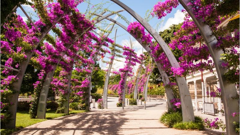Enjoy Romance at the South Bank in the Cultural Heart of London