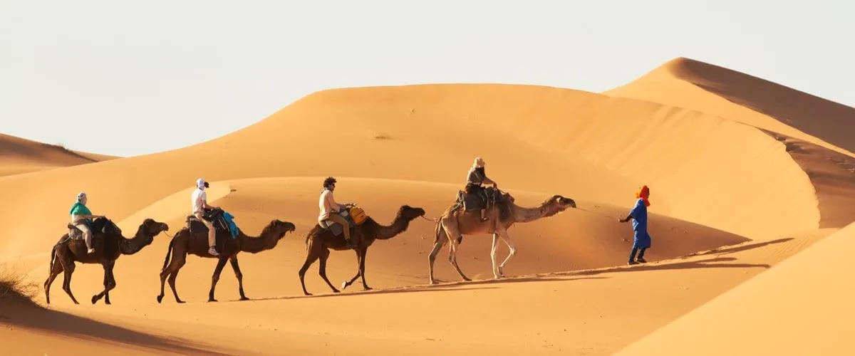 Top Things To Do In Oman: Activities Every Traveler Should Enjoy For An Extravagant Holiday
