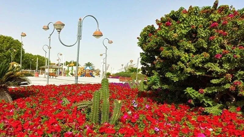 Abu Nakhla Park