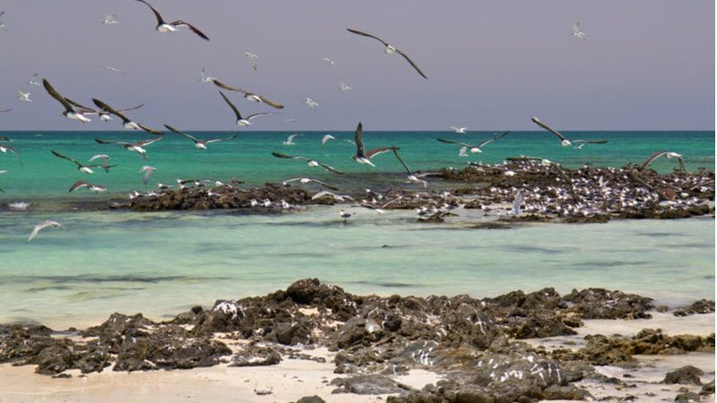 Masirah Island: Enjoy the Romantic Beach Vibe