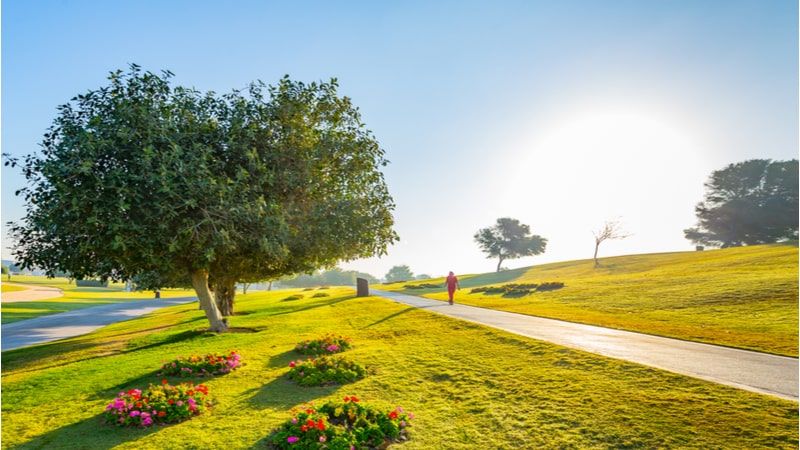 Stroll Around Aspire Park For a Fun-Filled Day