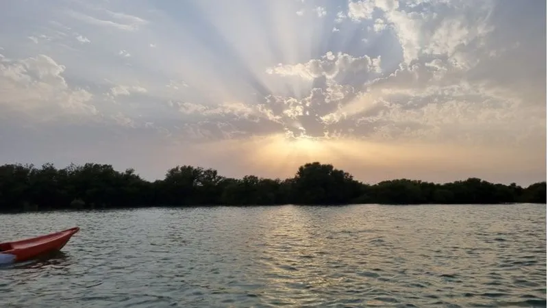 Sunset Mangrove Kayaking At Al Thakira