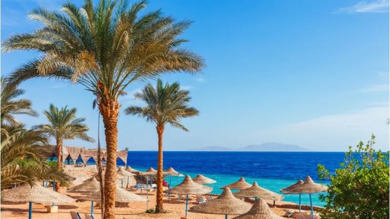 Top 8 Beaches in Egypt: For a Perfect Escape in Nature's Lap