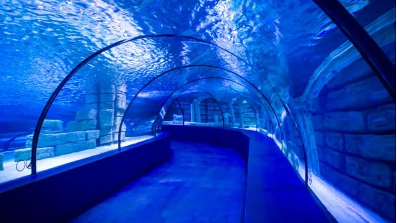 Discover Beautiful Marine Life at Antalya Aquarium