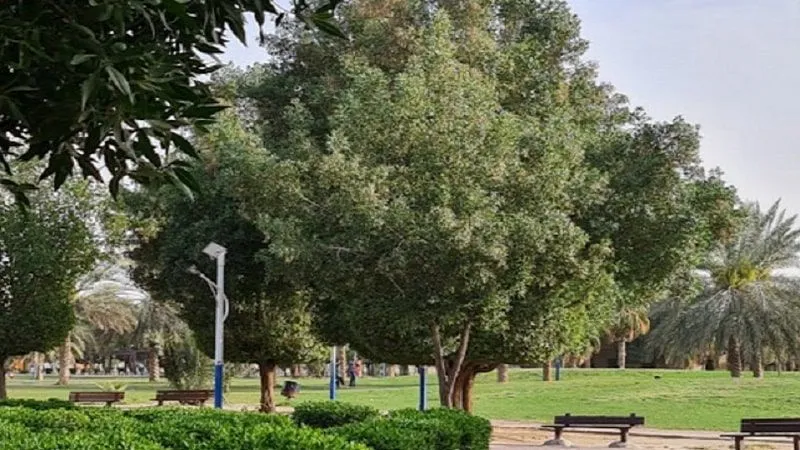 Jabriya Public Park