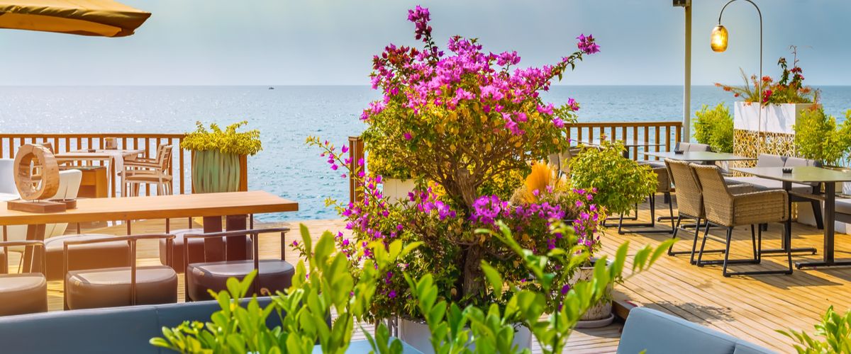 Best Restaurants in Antalya Give Those Taste Buds A Treat to Authentic Cuisine