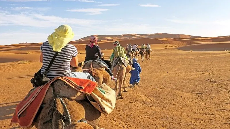 Camel Rides & Trekking: For that Extra Stroll