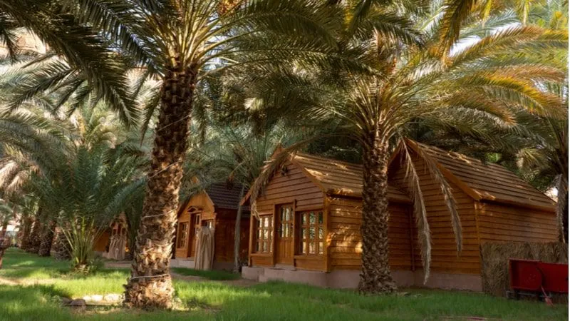 Relax and Chill with Mother Nature at Al Ula Farms