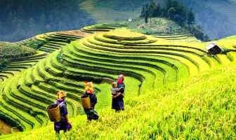 10 Days 9 Nights Magical Vietnam Tour Package 10 Days 9 Nights Magical Vietnam Tour Package