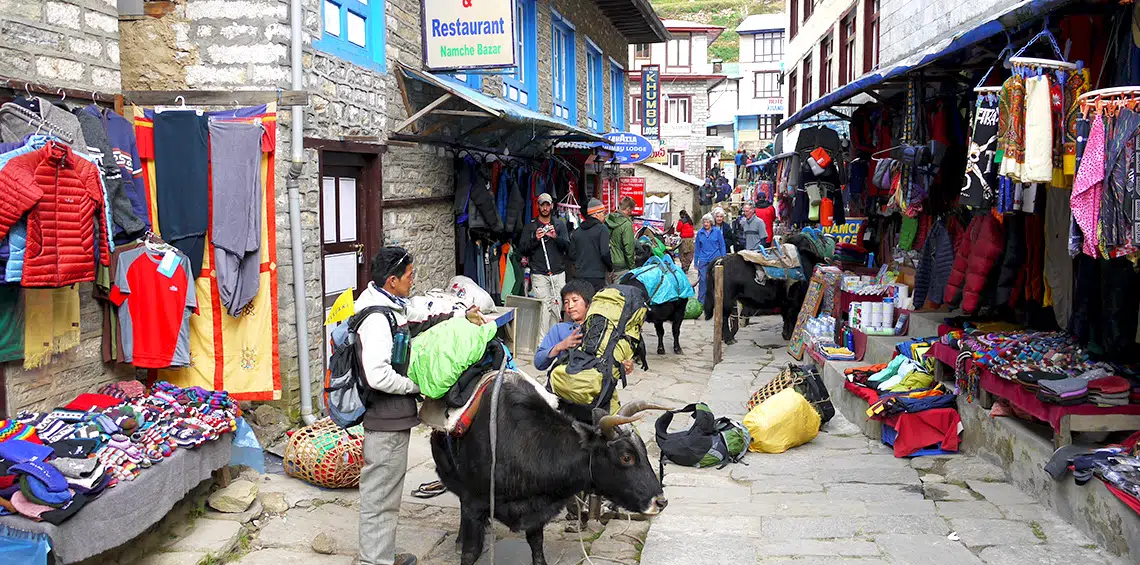 14 days Group/Friends Package in Nepal