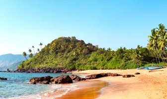 Amazing Goa 5 Nights 6 Days New Year Package Amazing Goa 5 Nights 6 Days New Year Package