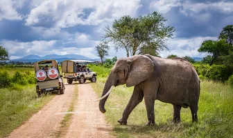 Magical Tanzania 4 Days 3 Nights Safari Tour Package Magical Tanzania 4 Days 3 Nights Safari Tour Package