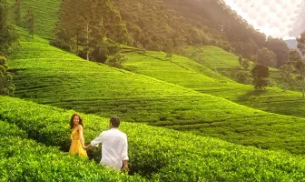 7 Days 6 Nights Kandy Nuwara Eliya and Bentota Tour Package 7 Days 6 Nights Kandy Nuwara Eliya and Bentota Tour Package