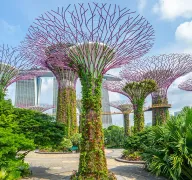 5 Days Singapore Summer Tour Package