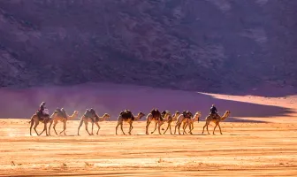 Wonderful 5 Nights 6 Days Jerash Madaba Petra Wadi Rum Amman Jordan Tour Package Wonderful 5 Nights 6 Days Jerash Madaba Petra Wadi Rum Amman Jordan Tour Package