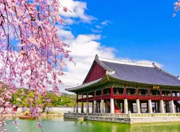 Best Selling 2 Nights 3 Days Busan Tour Package