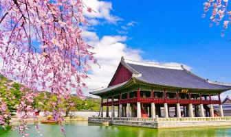Best Selling 2 Nights 3 Days Busan Tour Package Best Selling 2 Nights 3 Days Busan Tour Package