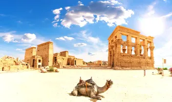 6 Days 5 Nights Cairo Aswan and Nile Cruise Tour Package 6 Days 5 Nights Cairo Aswan and Nile Cruise Tour Package