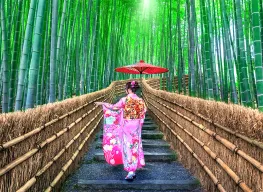 Best of Tokyo 5 Days 4 Nights Tour Package