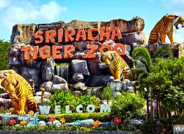 6 Days Bangkok Pattaya Tour Package