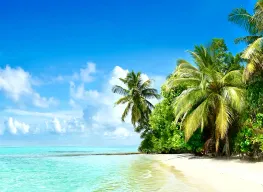 3 Days 2 Nights All Inclusive Paradise Island Resort Tour Package