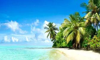 3 Days 2 Nights All Inclusive Paradise Island Resort Tour Package 3 Days 2 Nights All Inclusive Paradise Island Resort Tour Package