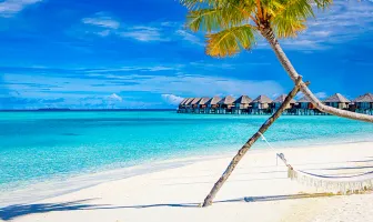 8 Nights 9 Days Maldives Luxury Tour Package 8 Nights 9 Days Maldives Luxury Tour Package