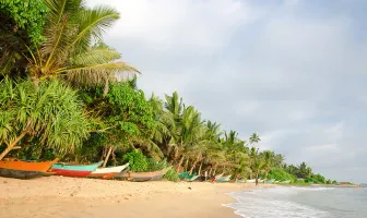 6 Nights 7 Days Sri Lanka Tour Package 6 Nights 7 Days Sri Lanka Tour Package