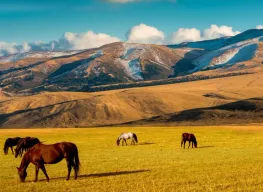 Golden Autumn 6 Days 5 Nights Almaty Tour Package