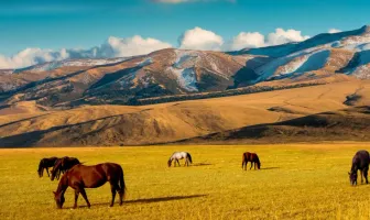 Golden Autumn 6 Days 5 Nights Almaty Tour Package Golden Autumn 6 Days 5 Nights Almaty Tour Package