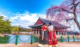 Delightful 6 Days 5 Nights Busan and Seoul Tour Package Delightful 6 Days 5 Nights Busan and Seoul Tour Package