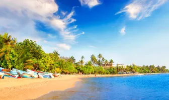 5 Nights 6 Days Sri Lanka Honeymoon Package 5 Nights 6 Days Sri Lanka Honeymoon Package