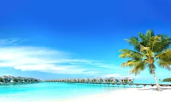 4 Days 3 Nights Taj Coral Reef Resort & Spa Maldives Tour Package 4 Days 3 Nights Taj Coral Reef Resort & Spa Maldives Tour Package