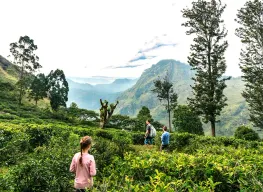 Best Selling 6 Nights 7 Days Sri Lanka Family Tour Package