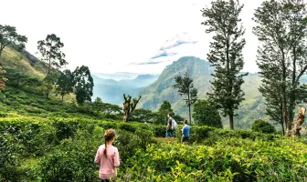 Best Selling 6 Nights 7 Days Sri Lanka Family Tour Package Best Selling 6 Nights 7 Days Sri Lanka Family Tour Package