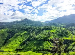 6 Nights 7 Days Sri Lanka Leisure Tour Package