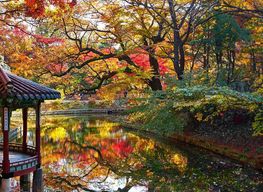 7 Nights 8 Days South Korea Tour Package