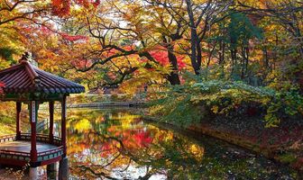 7 Nights 8 Days South Korea Tour Package 7 Nights 8 Days South Korea Tour Package