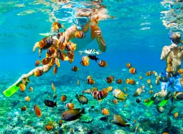 5 Nights 6 Days Male Family Tour Package