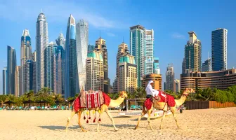 5 Nights 6 Days Dubai Abu Dhabi Sharjah Family Tour Package 5 Nights 6 Days Dubai Abu Dhabi Sharjah Family Tour Package