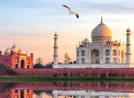 Golden Triangle Explorer 5 Nights 6 Days Tour Package