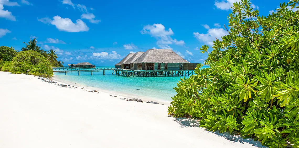 5 days Maldives Honeymoon